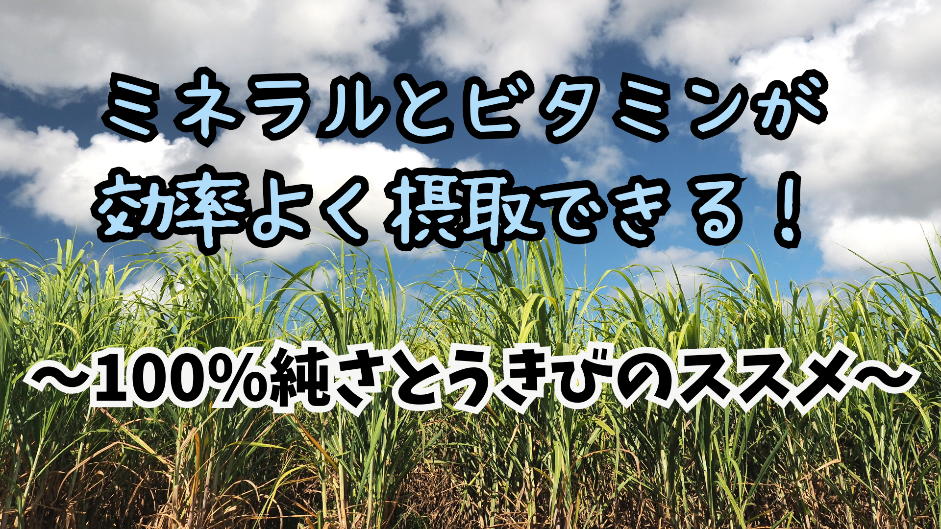 不足しがちな栄養は効率よく摂取すべし！～100％純さとうきびのススメ～